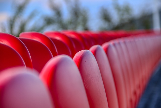 父亲塞尔吉 父亲塞尔吉