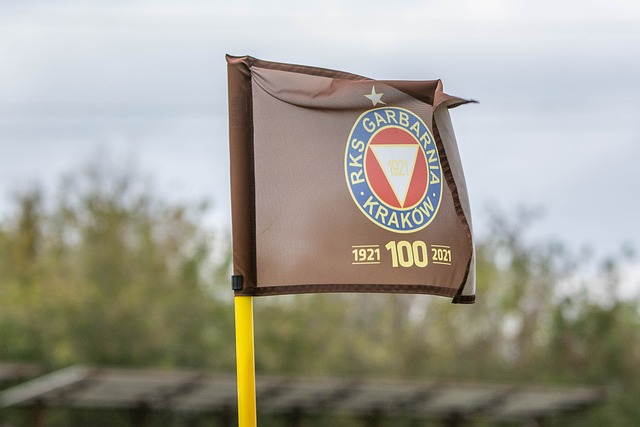 篮板数据呈 篮板数据呈