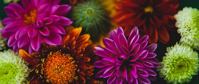 压力场景 压力场景