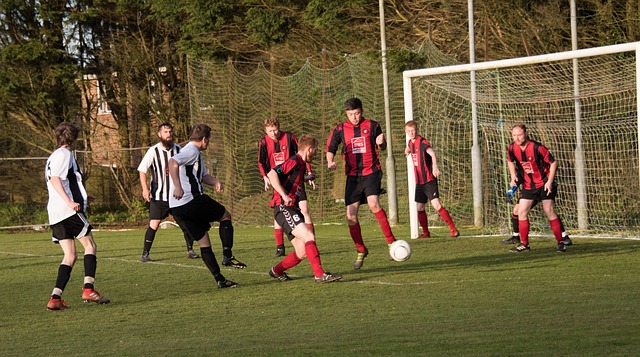 进一步巩固 进一步巩固