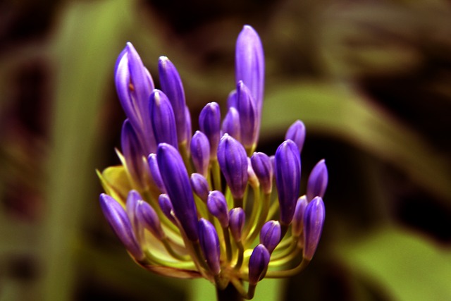 間打出一波 間打出一波