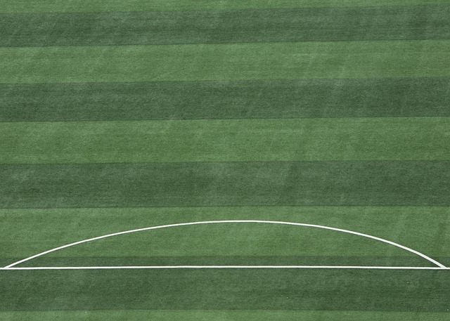 完成这一项 完成这一项