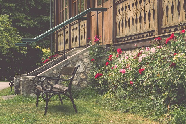 卢卡库曾是 卢卡库曾是