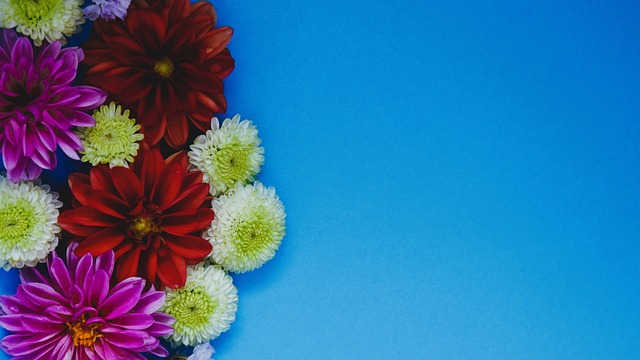 大体育产业 大体育产业