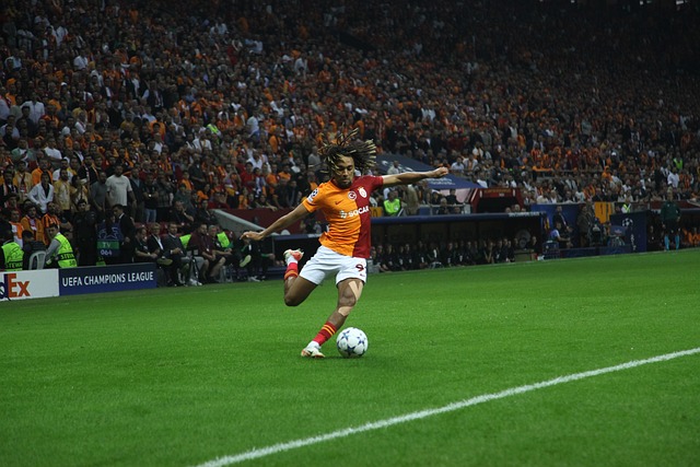 阵容分配不 阵容分配不