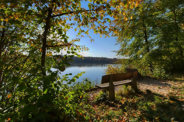 如何應對沒 如何應對沒