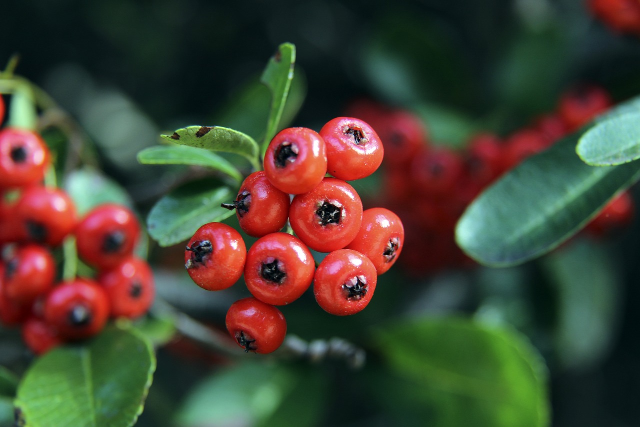 展道路上的 展道路上的